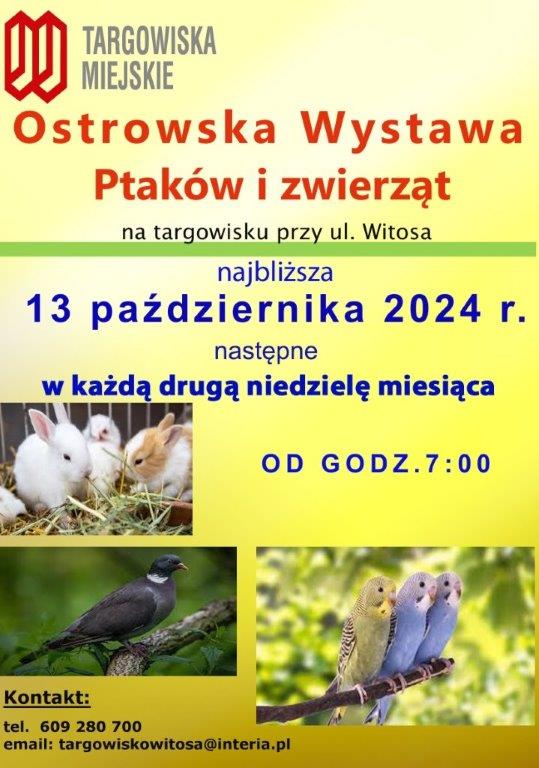 Kolejna Ostrowska Wystawa Ptaków i Zwierząt
